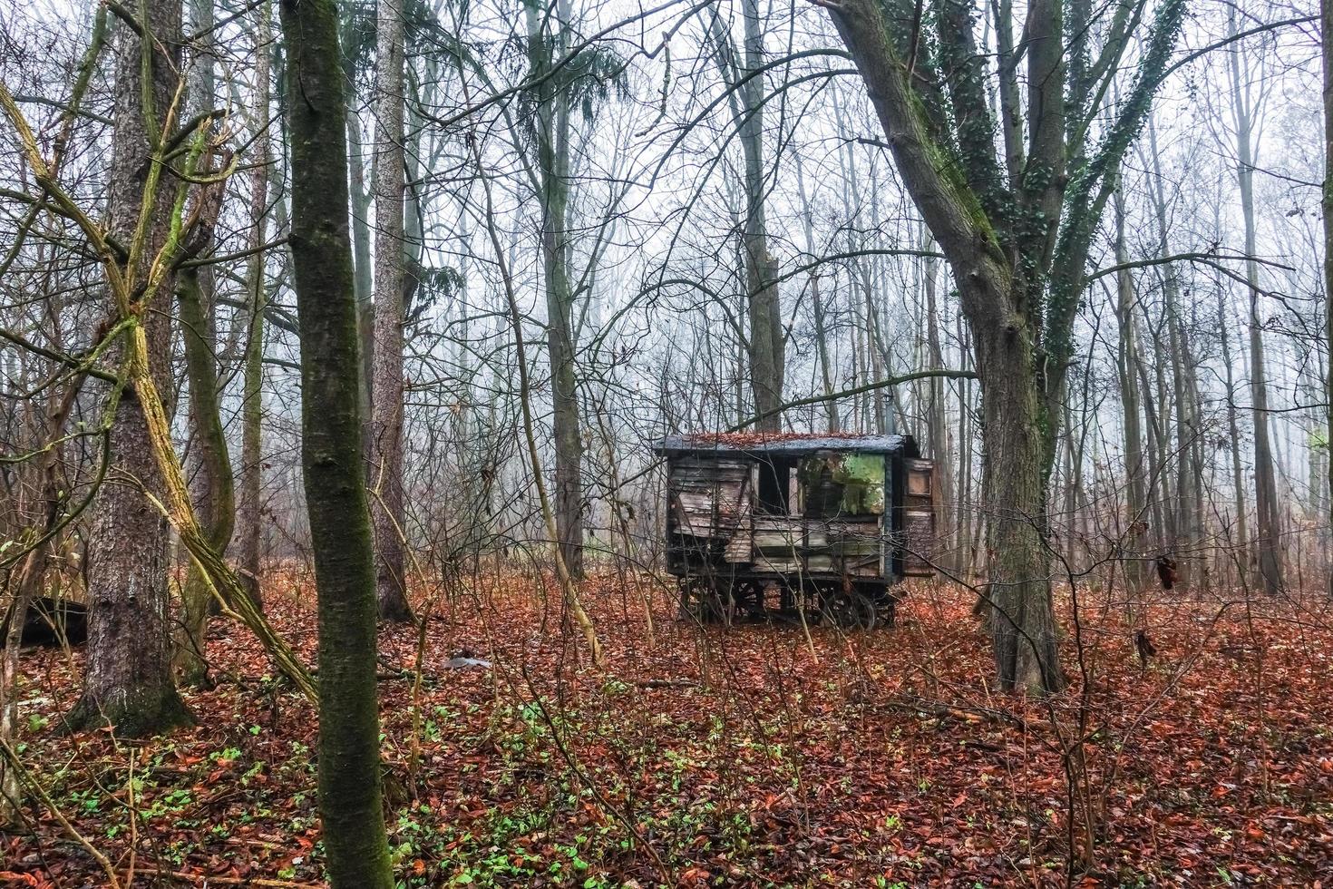 viejo vagón de ferrocarril abandonado con horno y en el bosque foto