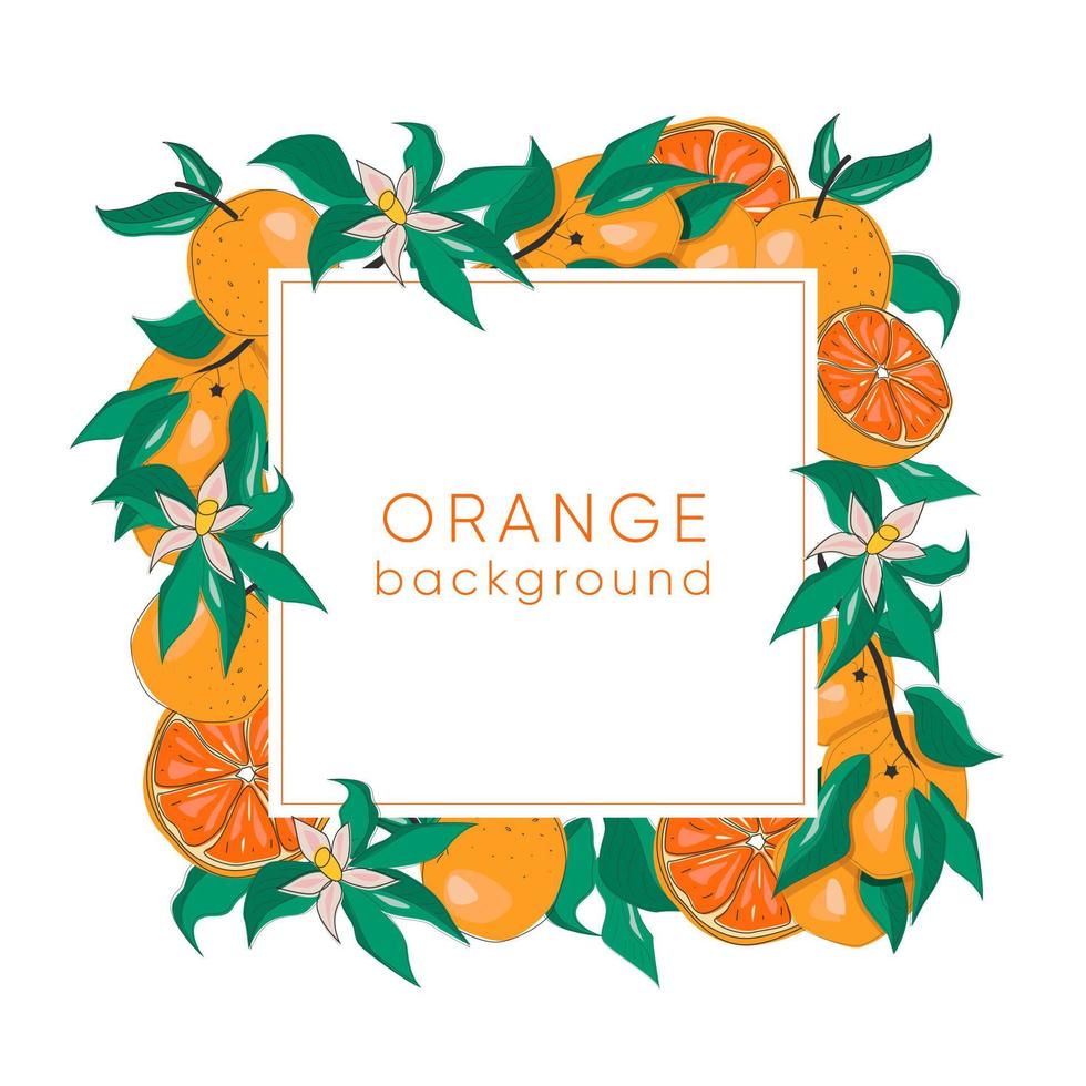 Botanical frame with oranges, branches, leaves and flowers. Card template. Vector EPS10