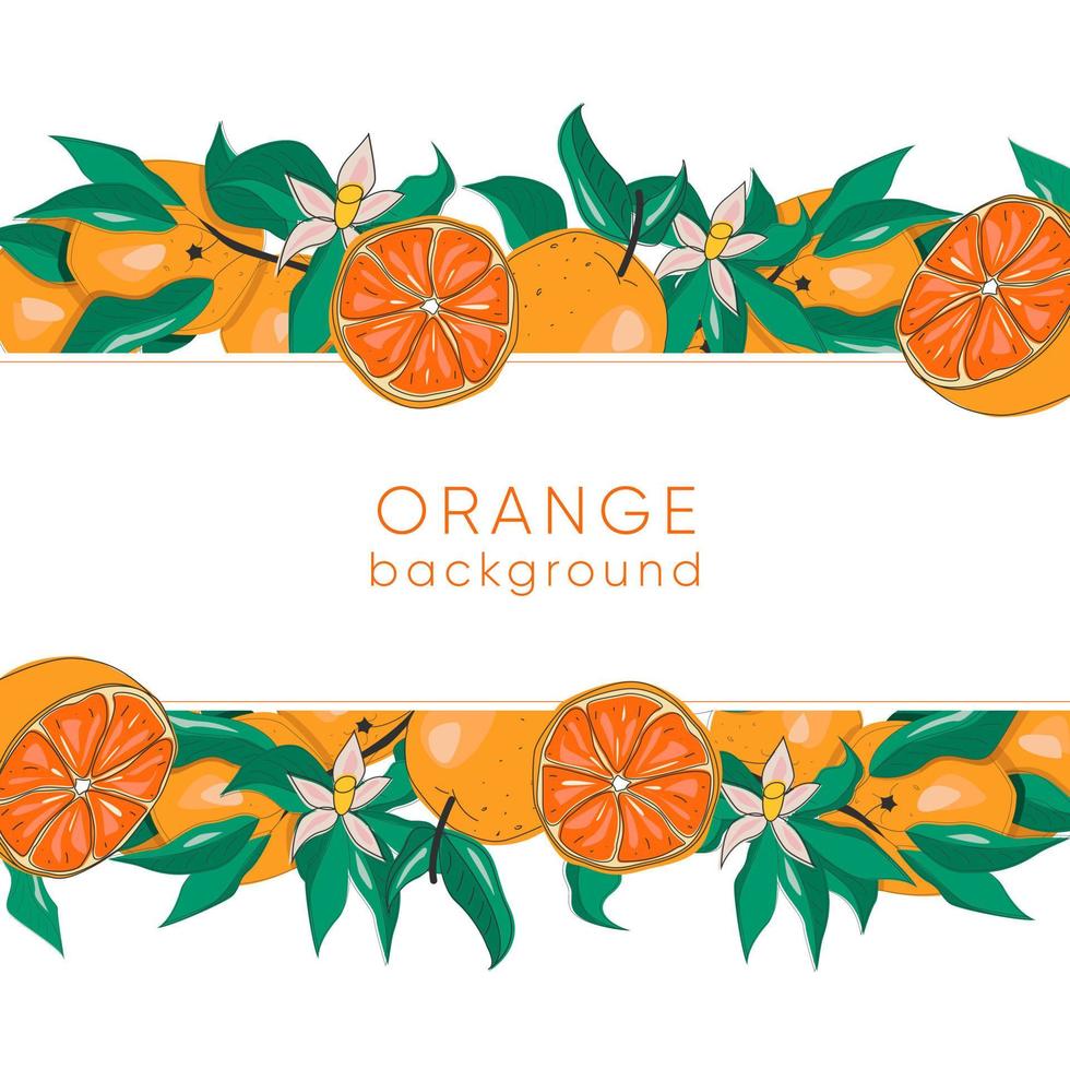 Botanical background with oranges, branches, leaves and flowers. Card template. Vector EPS10