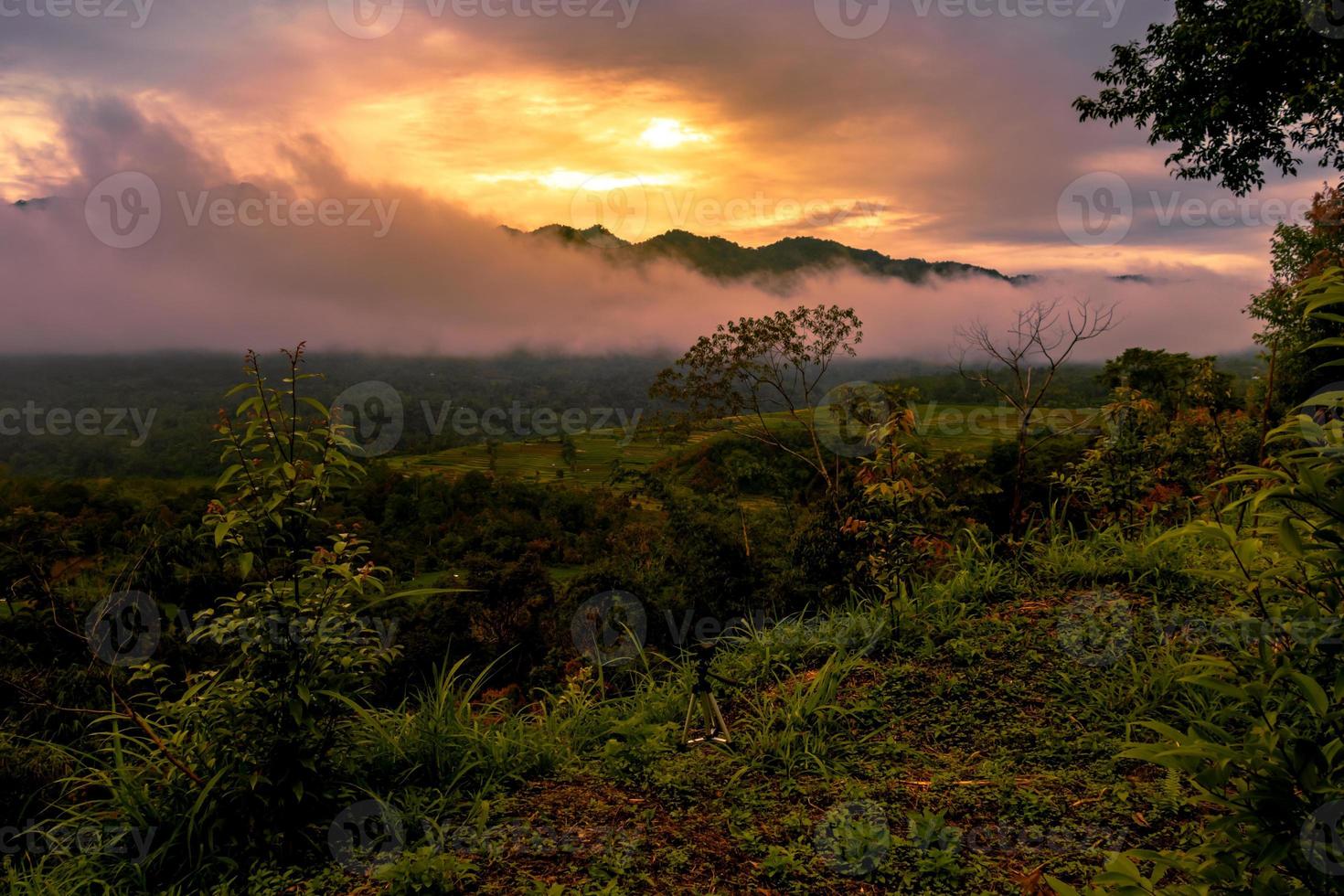 Sunrise landscape with mountain and forest. Rural morning view photo