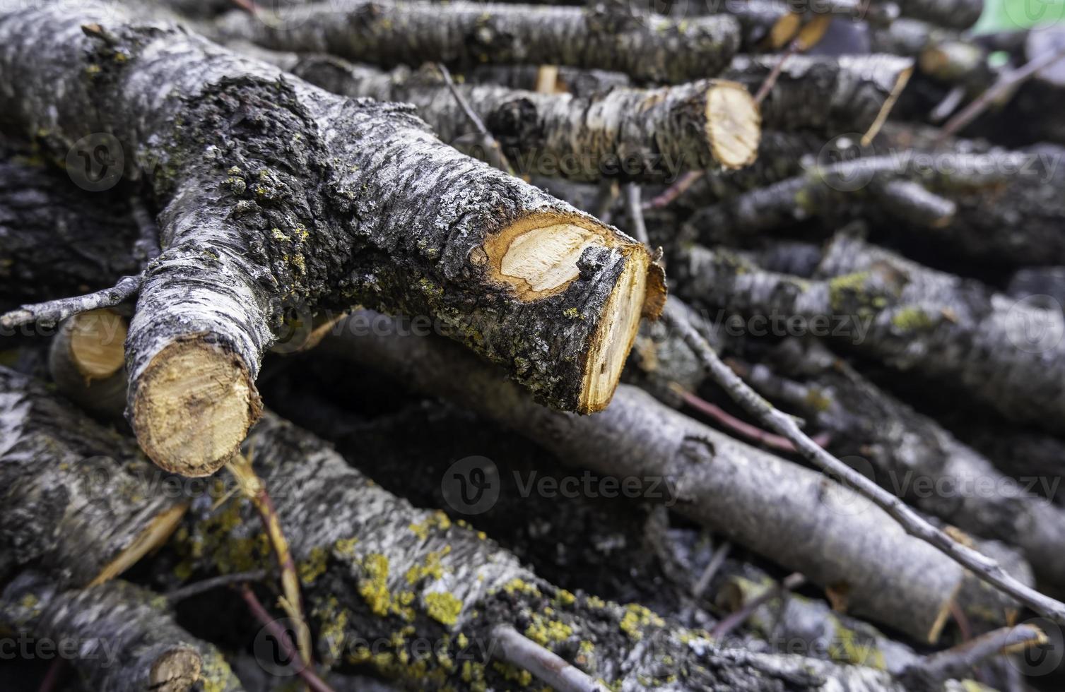 tronco de madera para leña foto