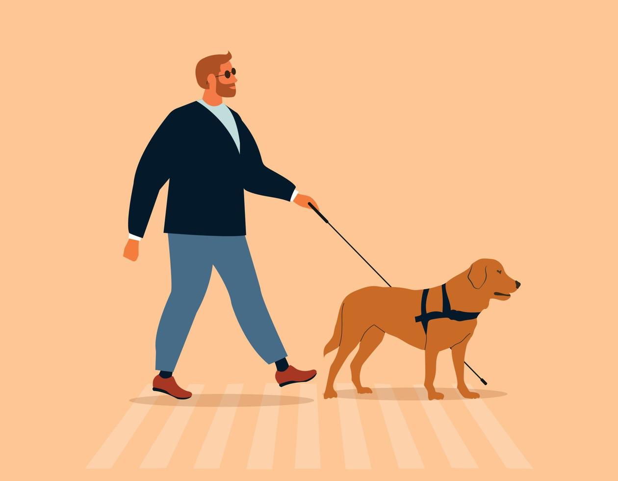 hombre con un perro guía caminando. persona con discapacidad visual o ciega que cruza un paso de peatones con un bastón y un labrador que ve a los ojos. espacio inclusivo de la ciudad. ilustración vectorial plana aislada vector