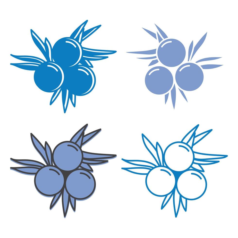 Set of Juniper Berries icon flat design vector illustration.