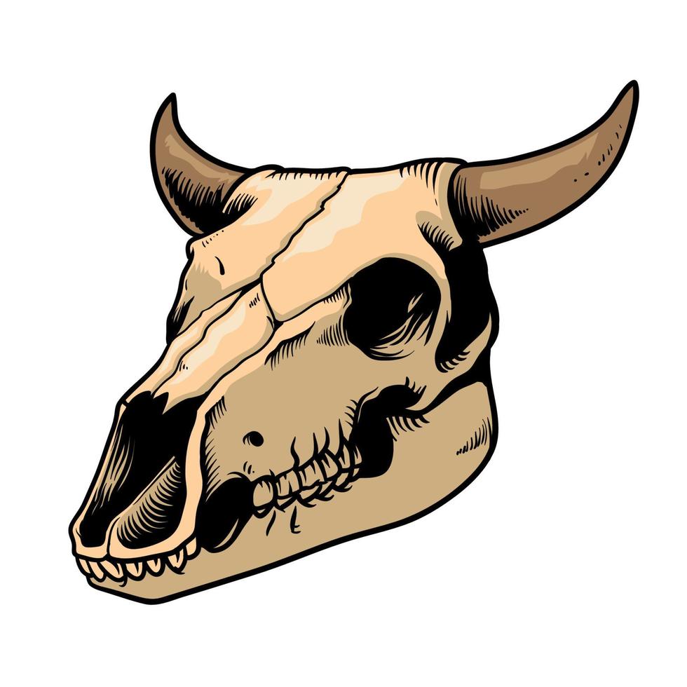 cow skull in hand drawn style vector