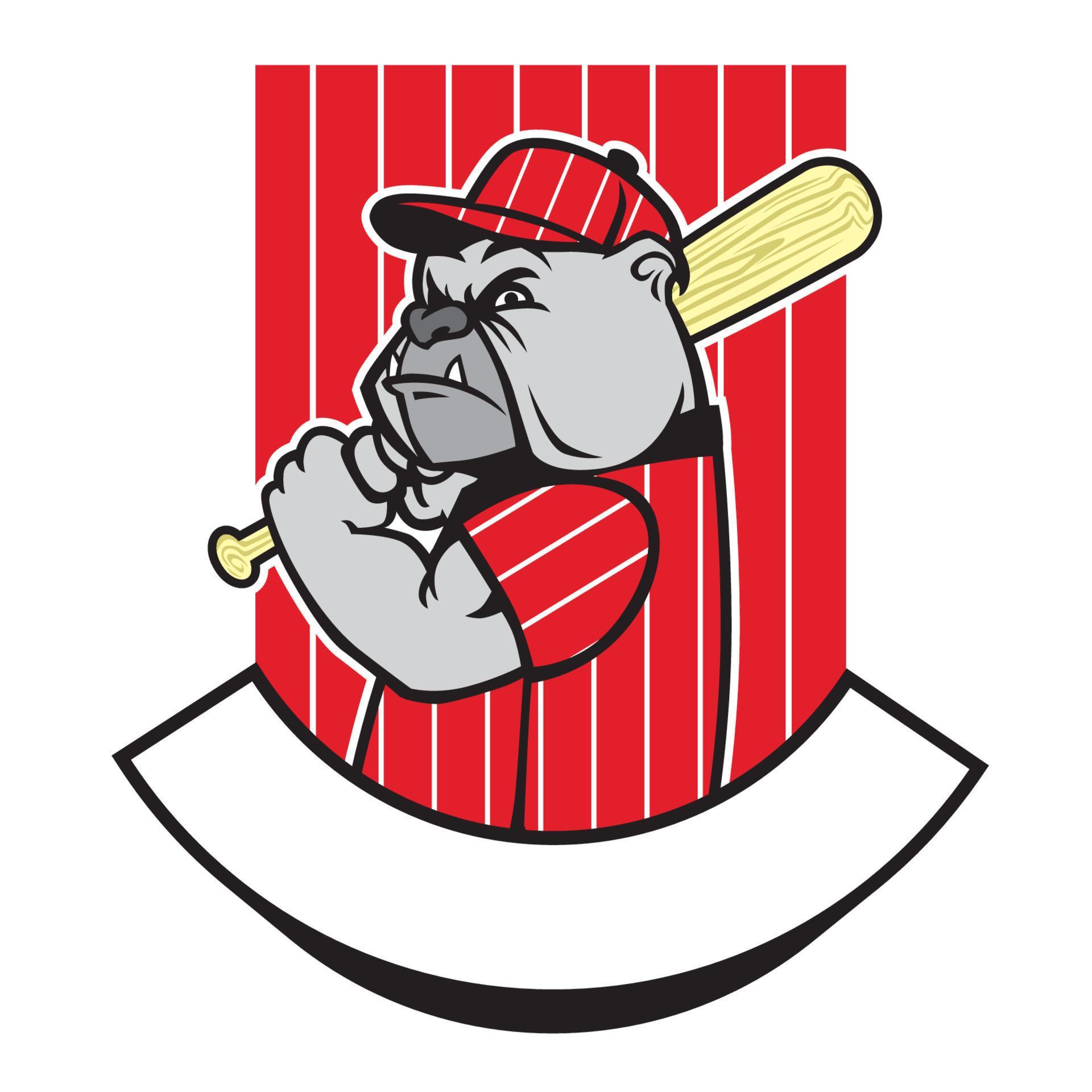 bulldog baseball player 18914296 Vector Art at Vecteezy