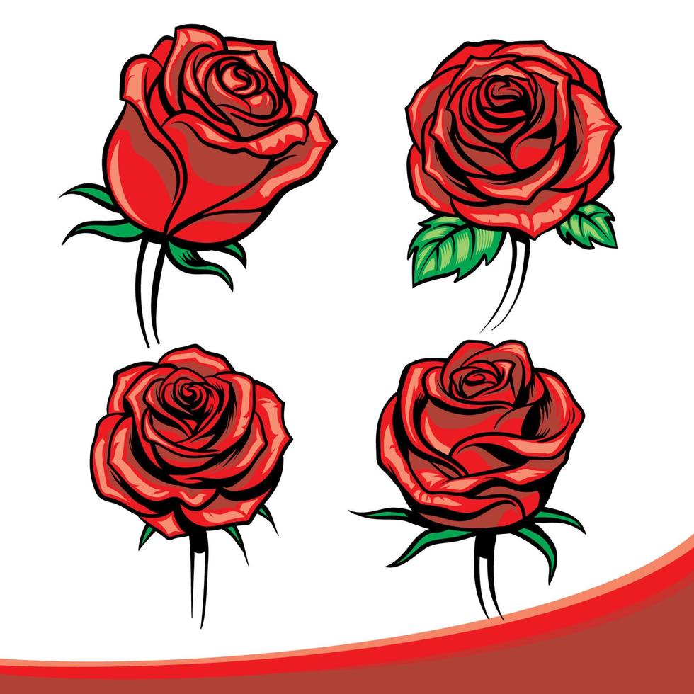 conjunto de rosas flor vector