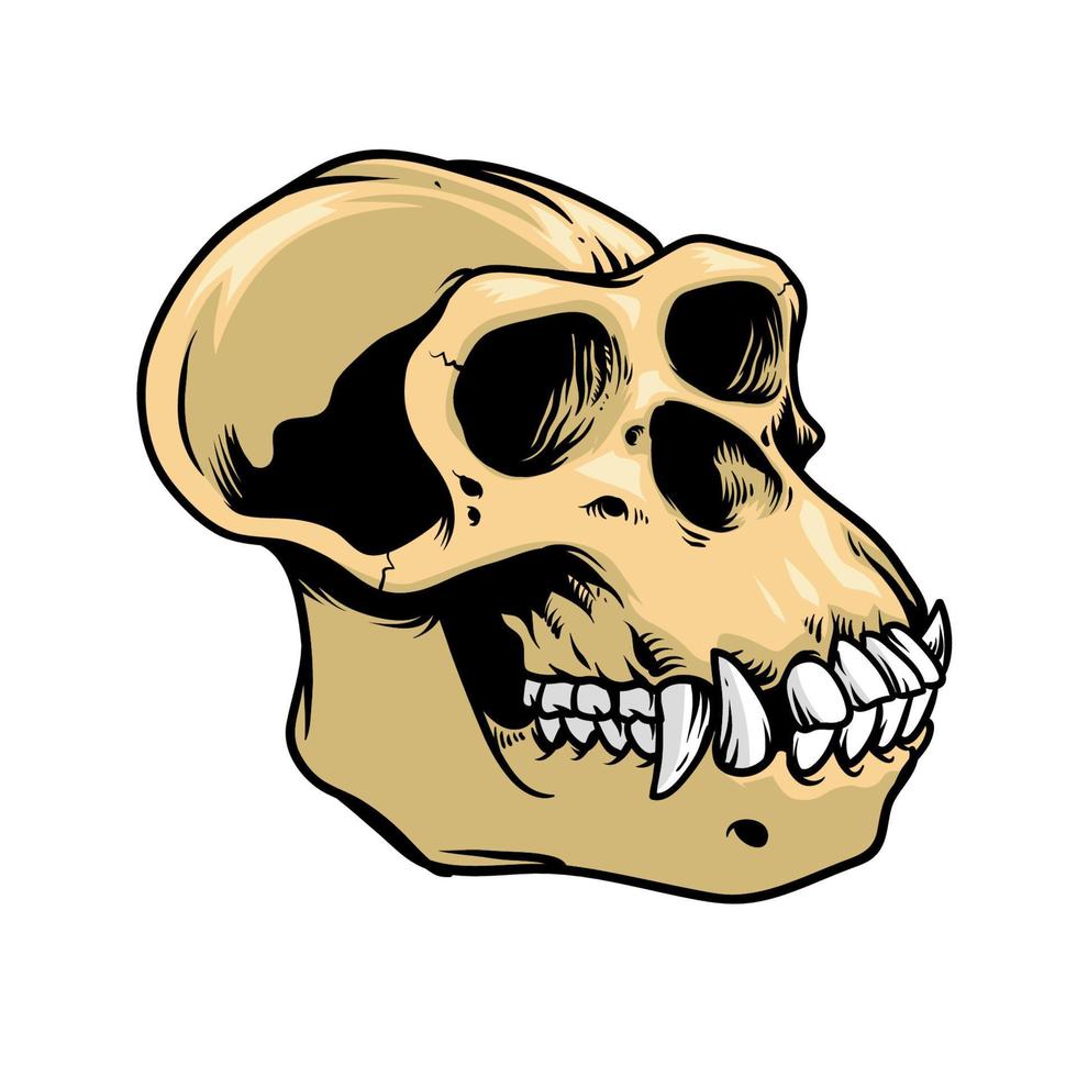 ape skull in hand drawn style vector