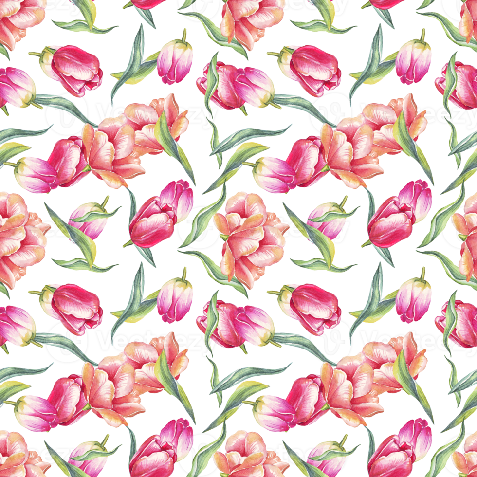 Tulips seamless pattern.  Watercolor illustration png