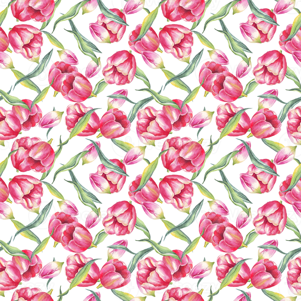 Tulips seamless pattern. Watercolor illustration png