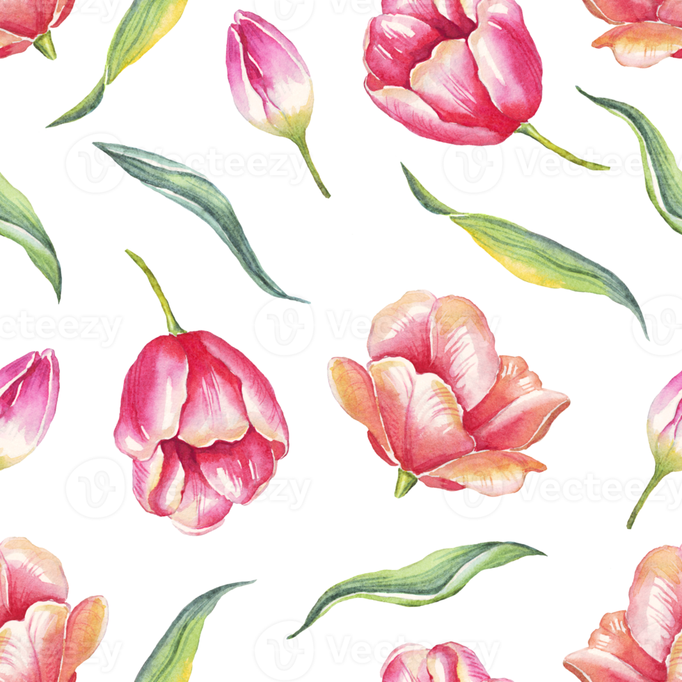 Tulips seamless pattern. Watercolor illustration png