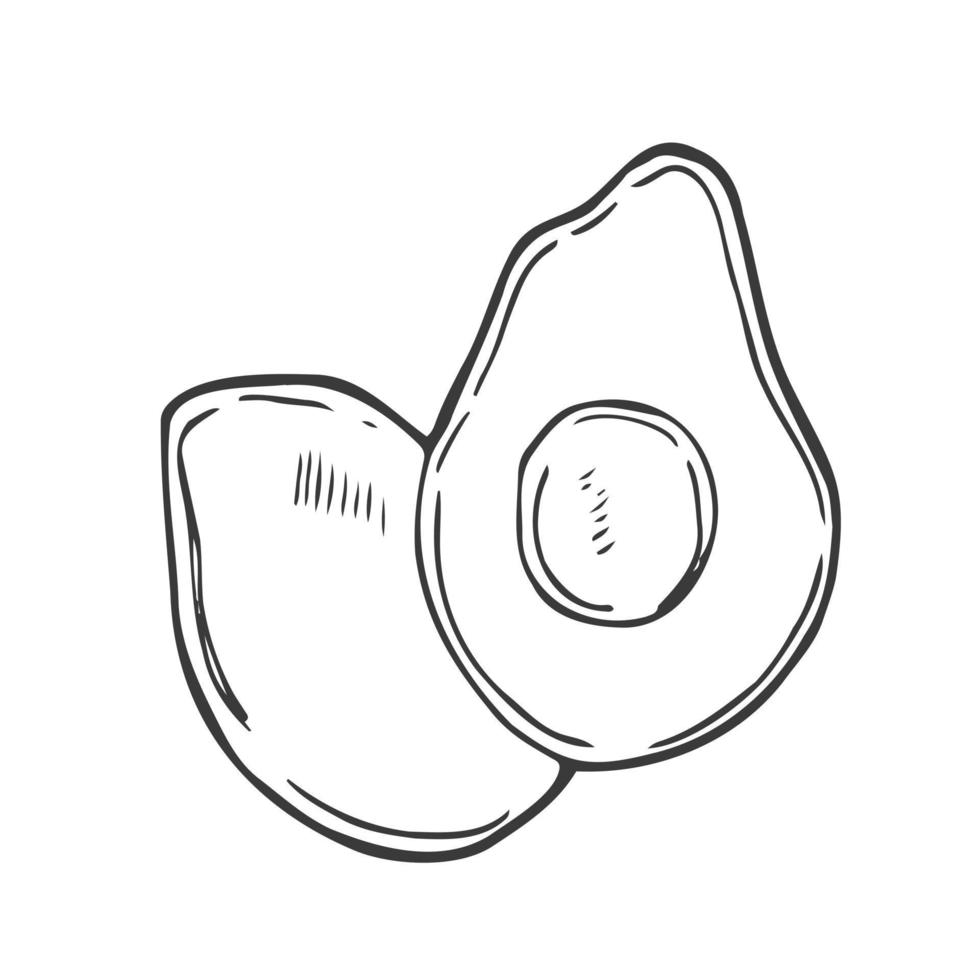 Avocado vector illustration with black hand drawn style isolated on white background