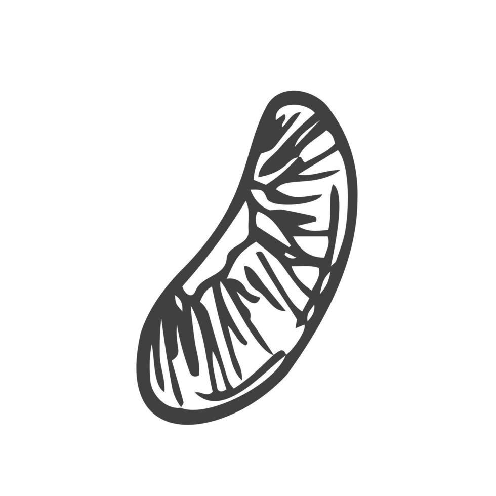 Single element hand drawn lemon slice icon. Vector illustration of doodles for cafes and restaurants, cute postcards and culinary design.