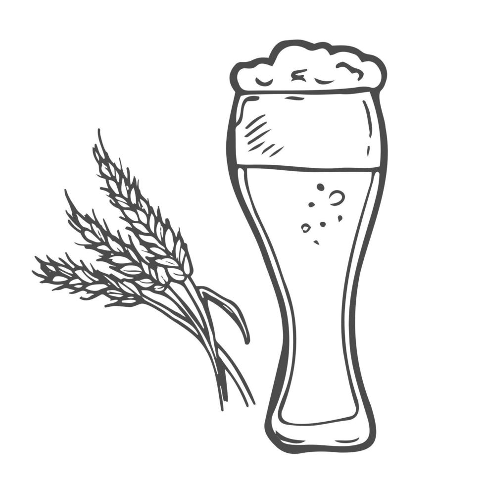 anuncios de cerveza de trigo y vaso con cerveza. ilustración de grabado vectorial vintage para web, afiche, invitación a la fiesta. elemento de diseño dibujado a mano aislado sobre fondo blanco. vector