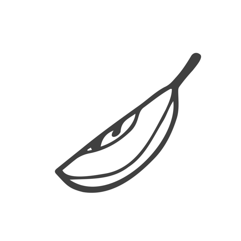 Apple slice illustration. Doodle simple apple sketch. Vector illustration