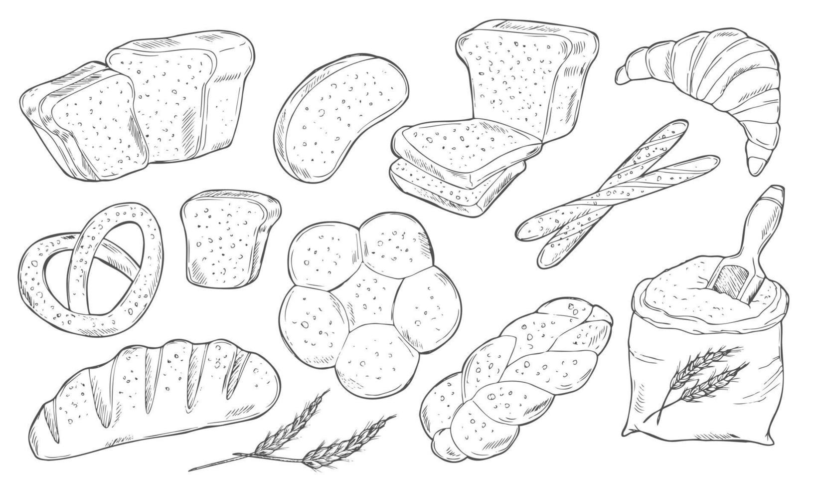 Bread vector hand drawn set illustration. Other types of wheat, flour fresh bread. Gluten food bakery engraved collection. Black bake organic food isolated on white background.