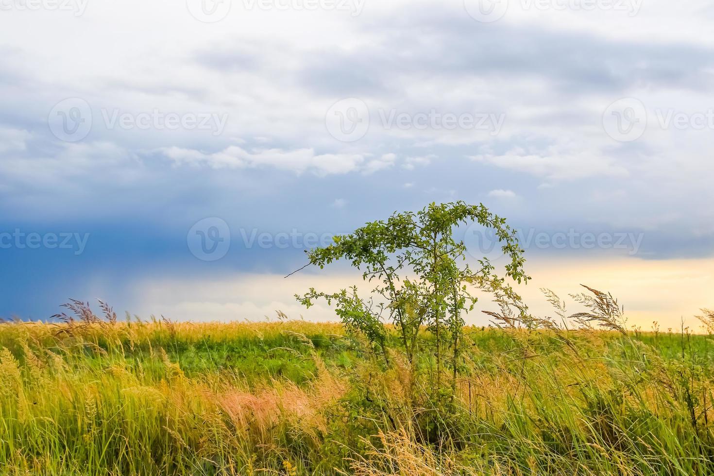 paisaje de campo verde con cielo azul y nubes tormentosas. foto