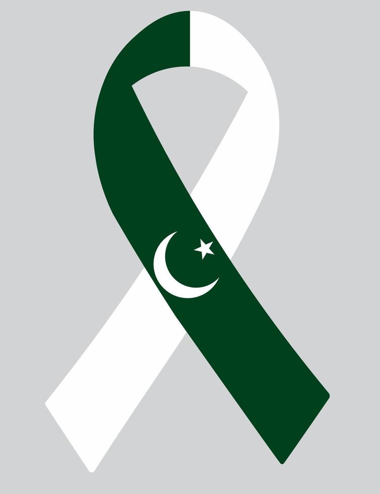 3d bandera de pakistán en cinta. vector