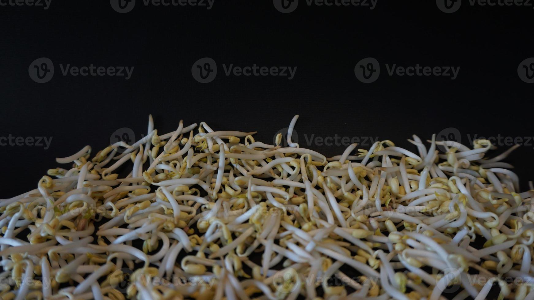 Fresh mung bean sprouts on black background. photo