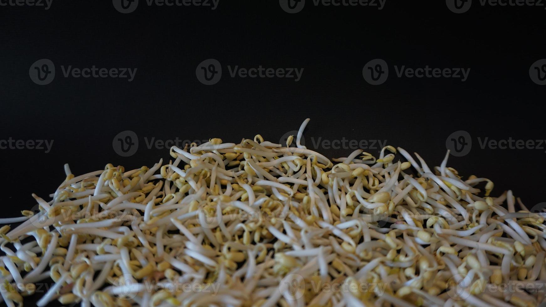 Fresh mung bean sprouts on black background. photo