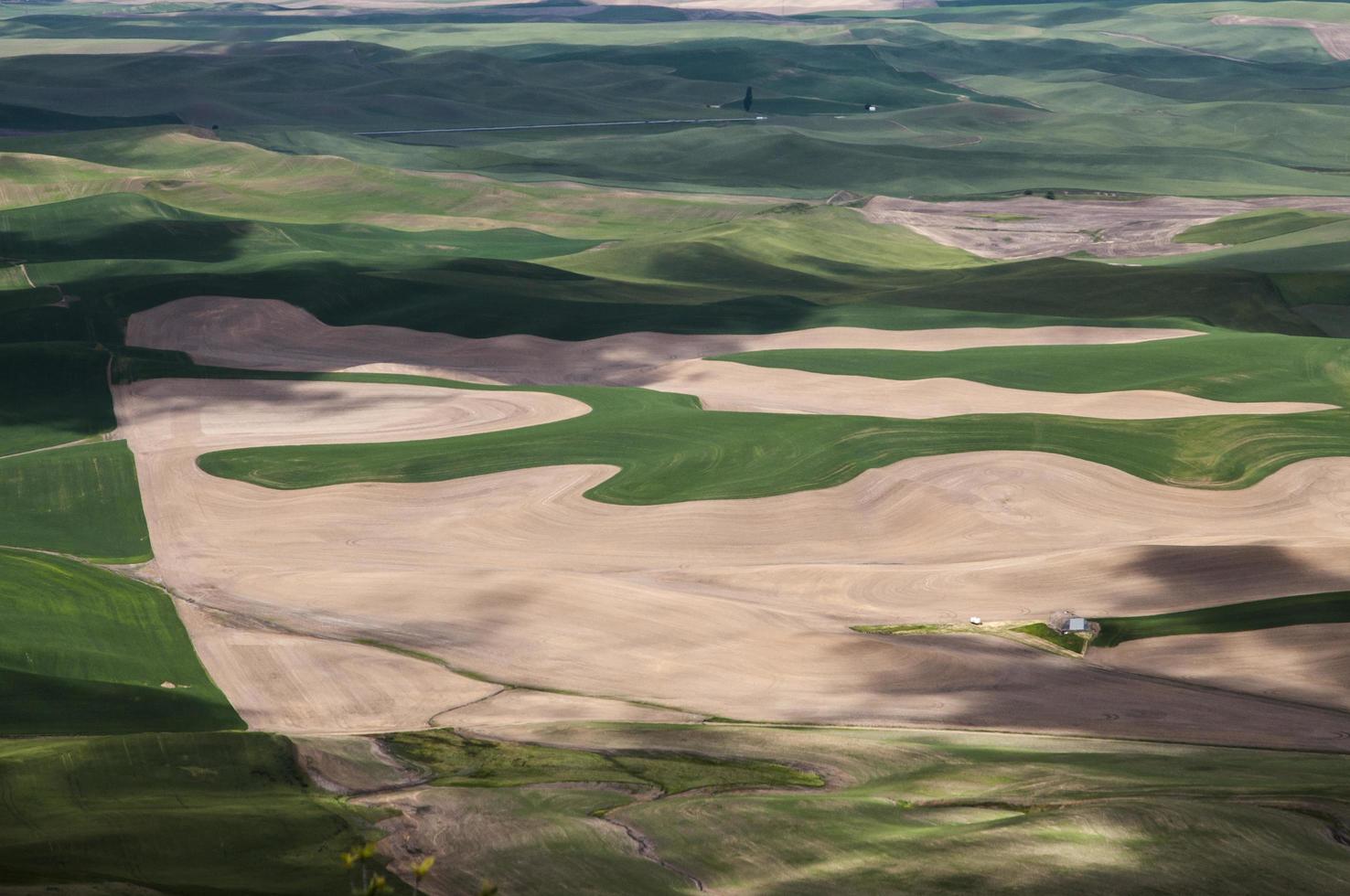 Beautiful shapes in the field created by machines photo