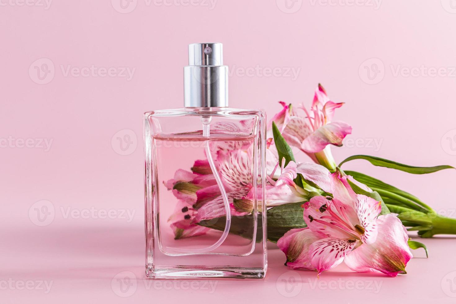 an elegant glass bottle of women's perfume or toilet water against the backdrop of fresh astromeria. aroma presentation. pink background. front view. photo
