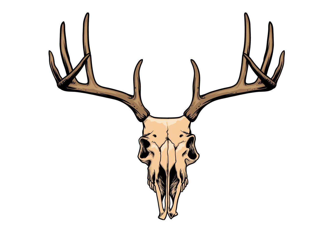 cráneo de ciervo en estilo de dibujo a mano vector