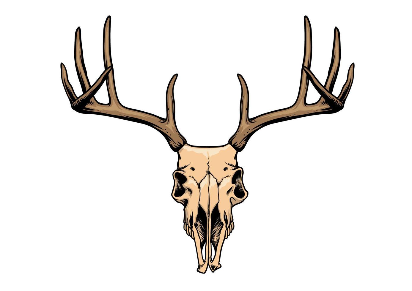 deer skull in hand drawing style vector