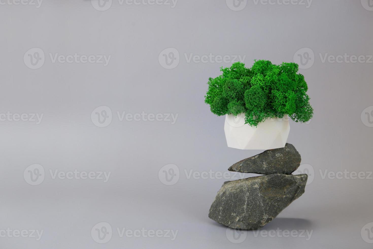 musgo verde en una olla sobre un podio hecho de piedras sobre un fondo gris... foto