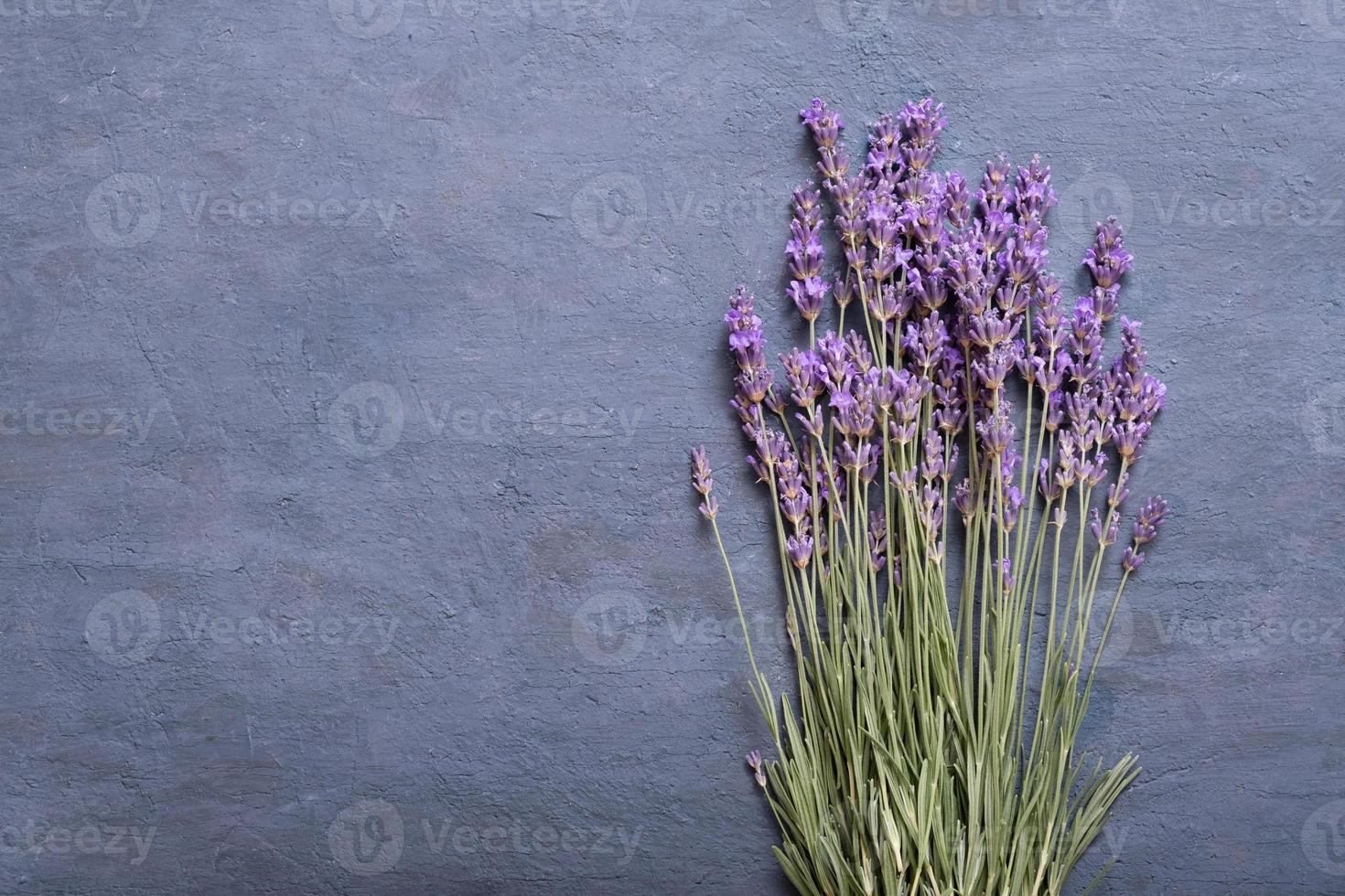 Lavender flowers on colored background top view. Copy space photo