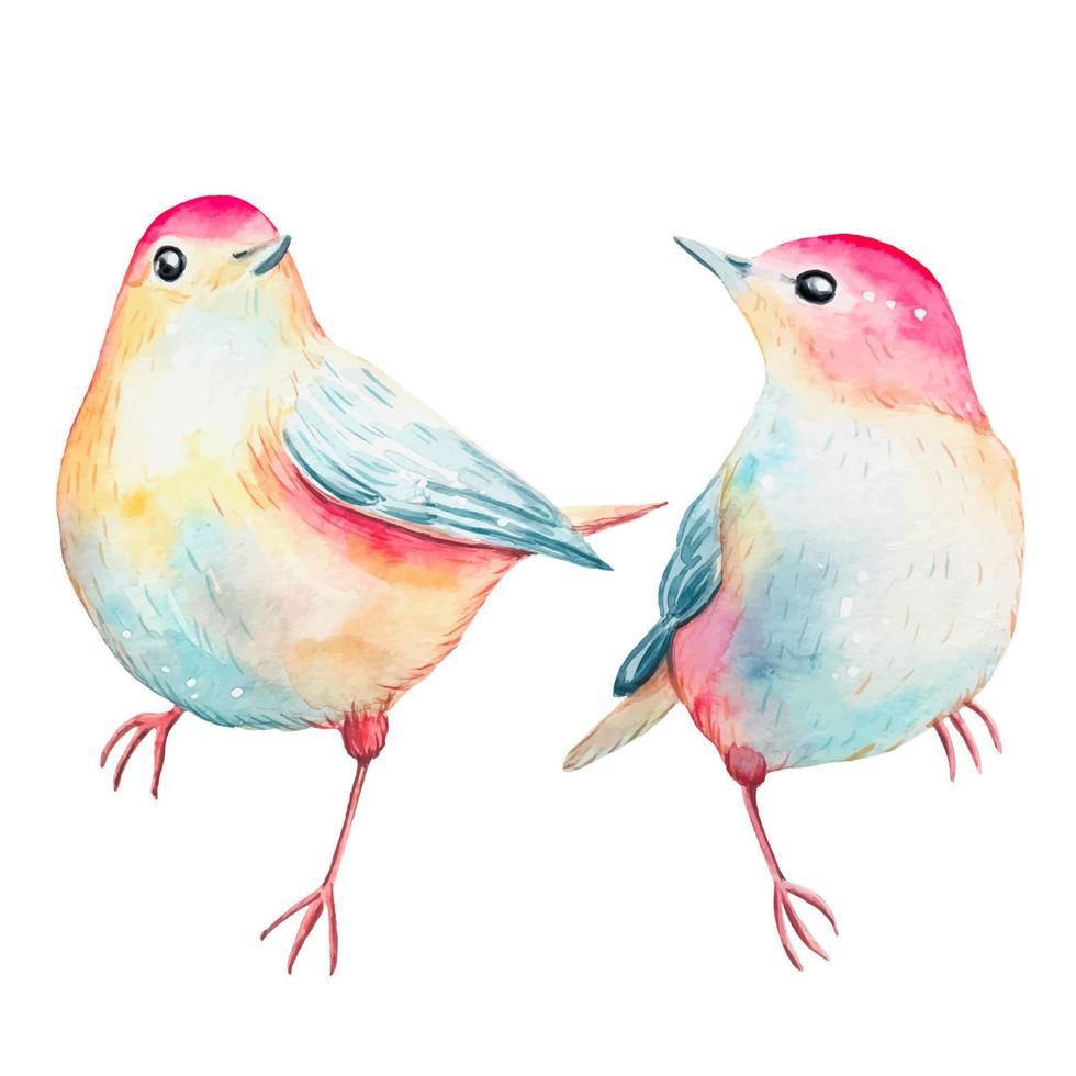 Hand drawn cute cartoon birds, watercolor vector