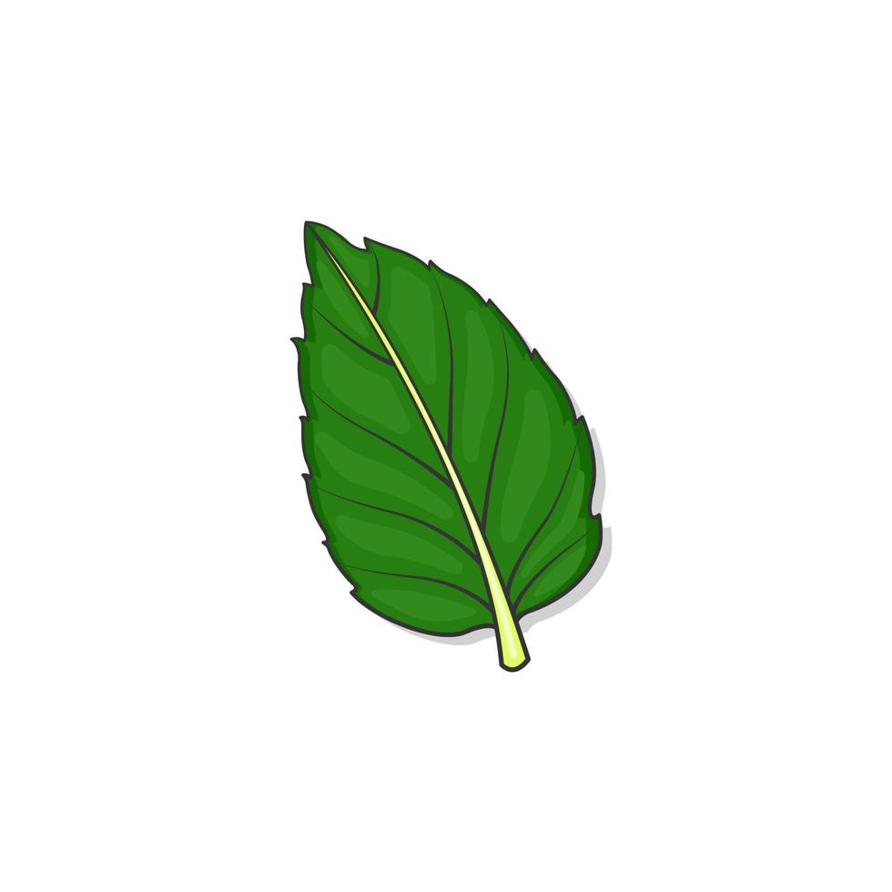 Cartoon leaf vector icon on white background