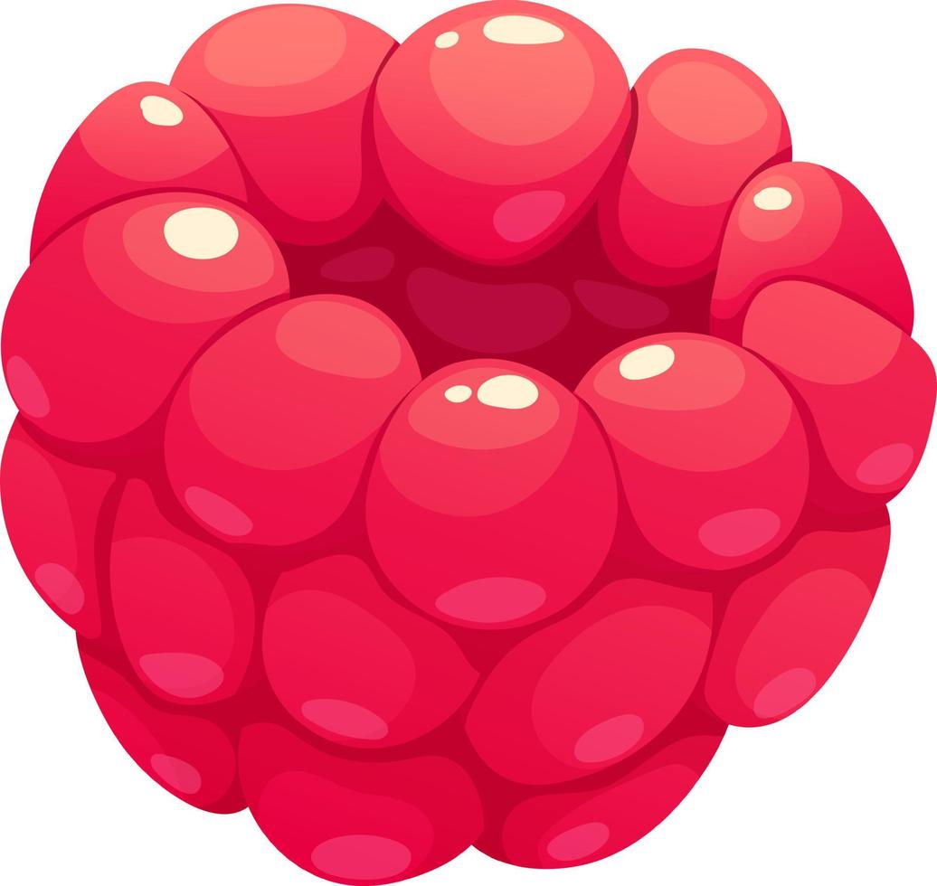 Cartoon juicy raspberry, pink berry on transparent background vector