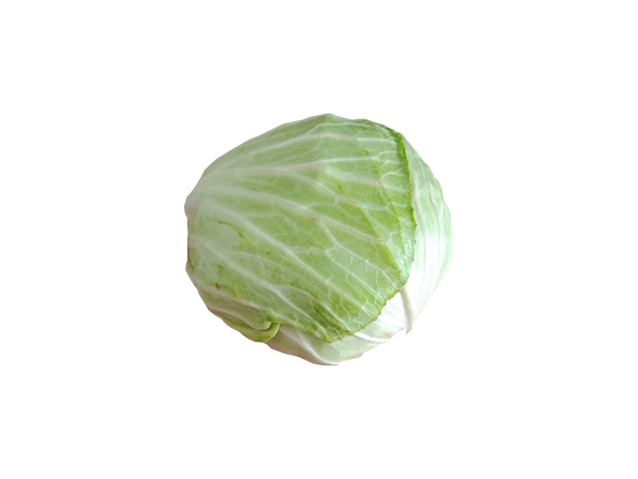 cavolo su trasparente sfondo, brassica oleracea png