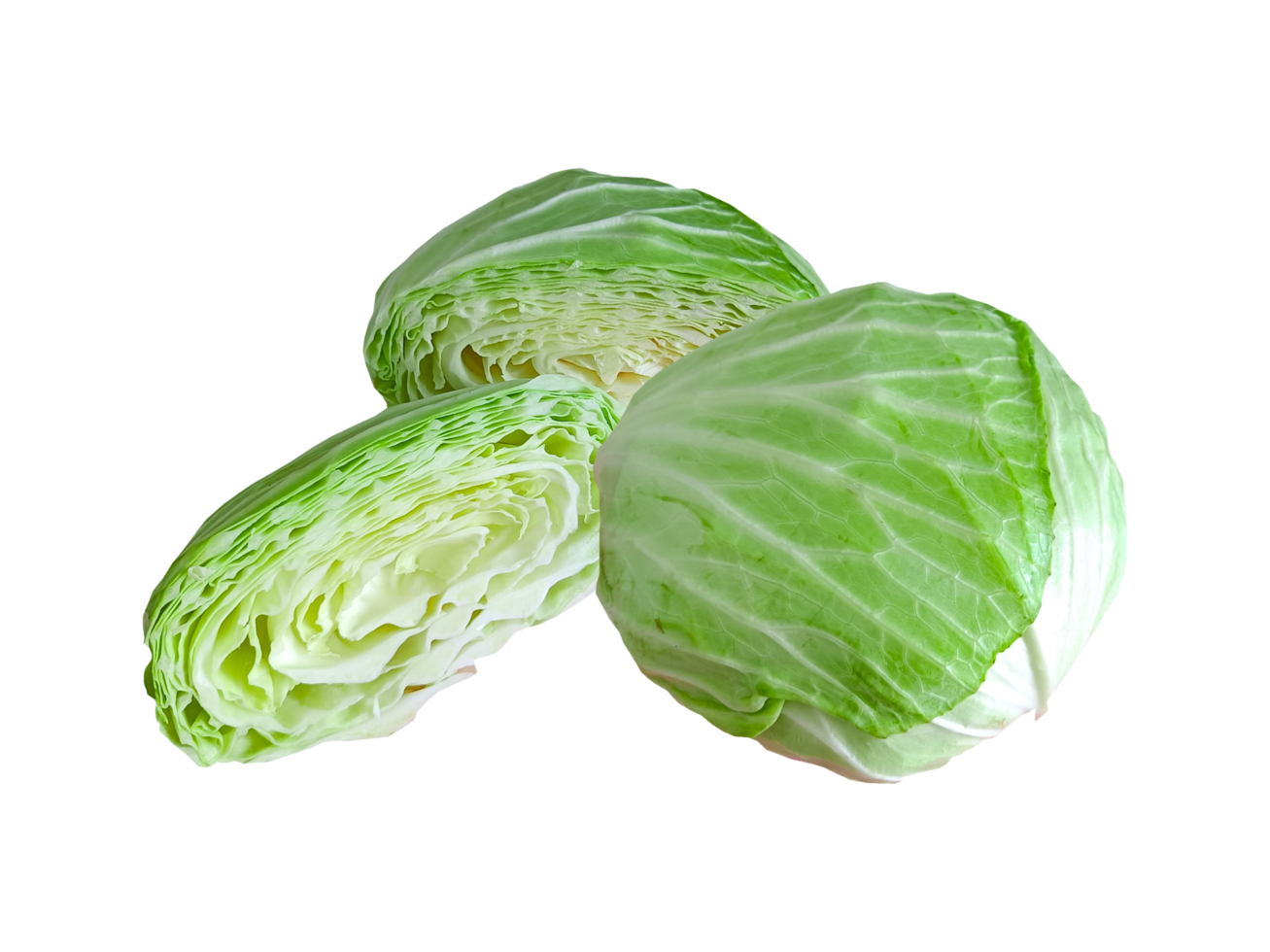 Slice cabbage on a transparent background png