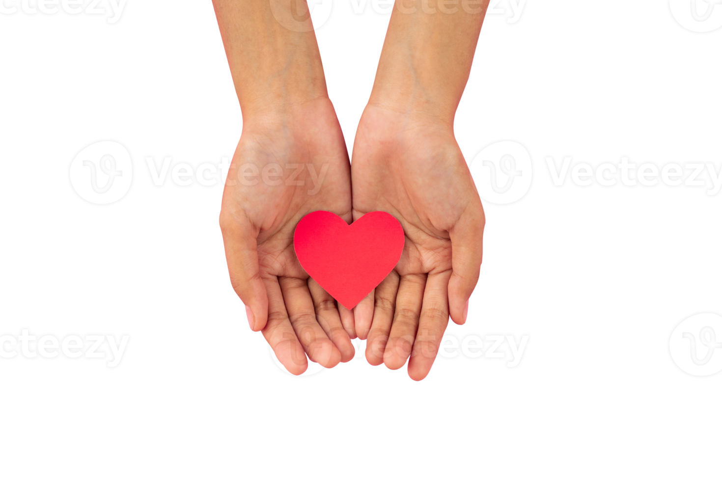 Heart in palm hand 18921399 PNG
