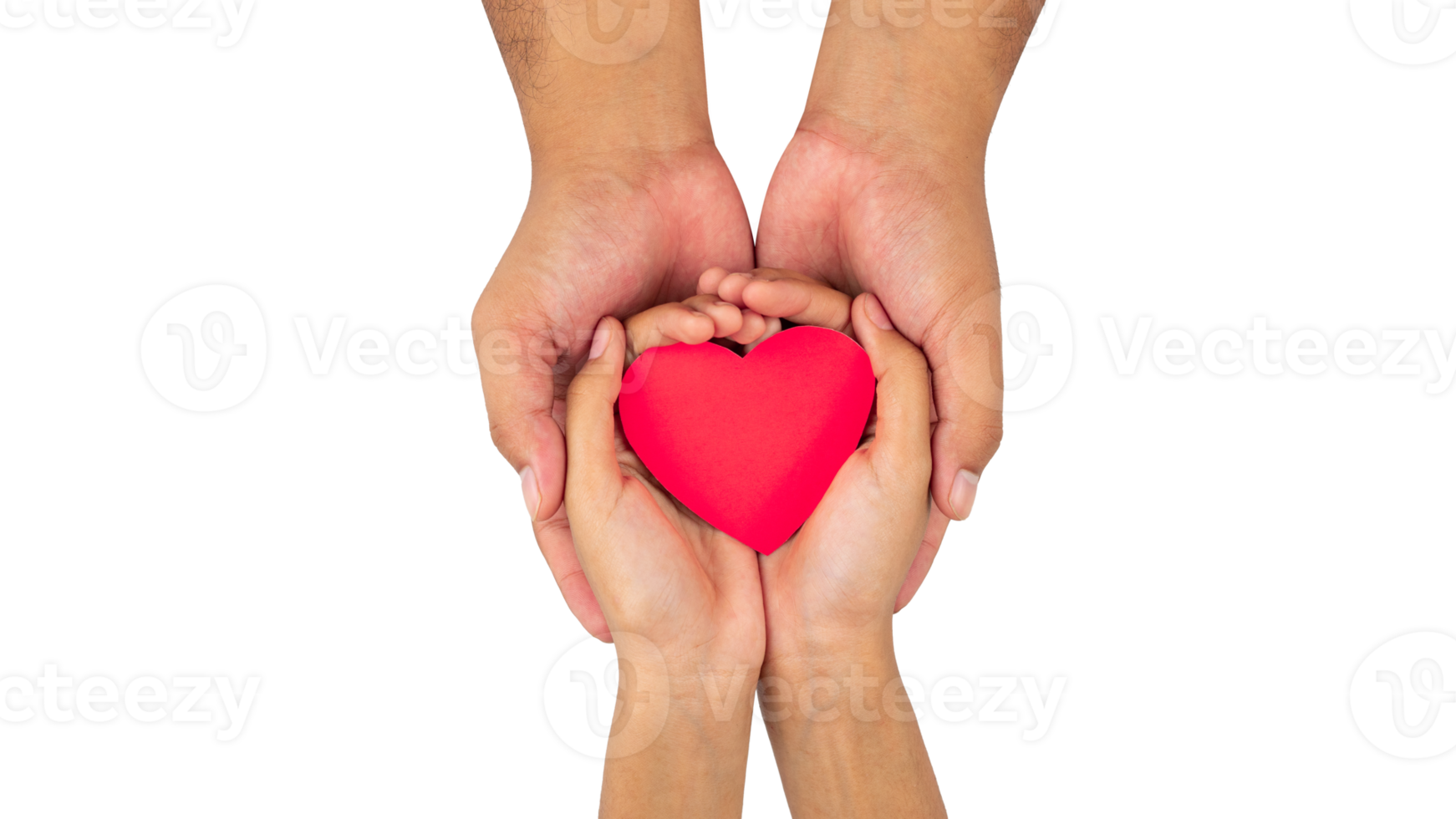 two small hands give a red heart to the man png