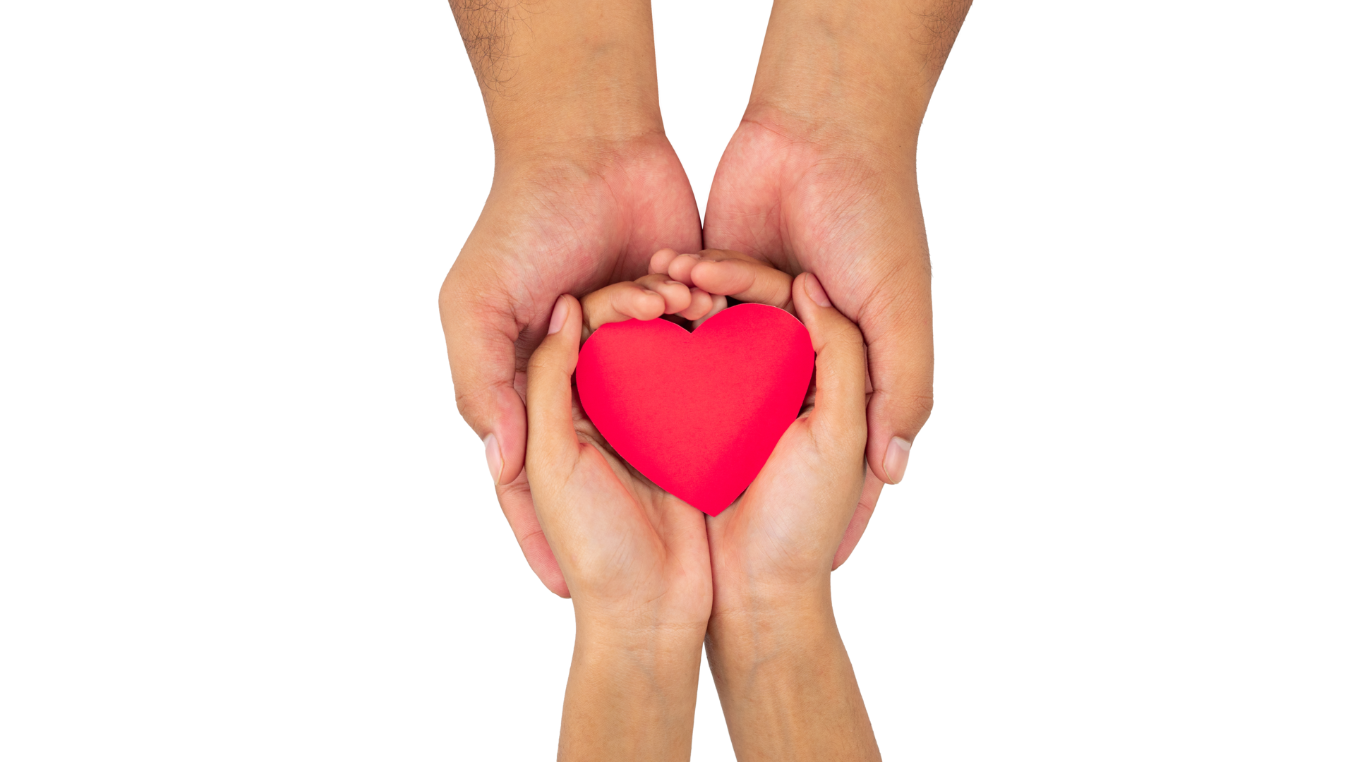 Free two small hands give a red heart to the man 18921421 PNG with