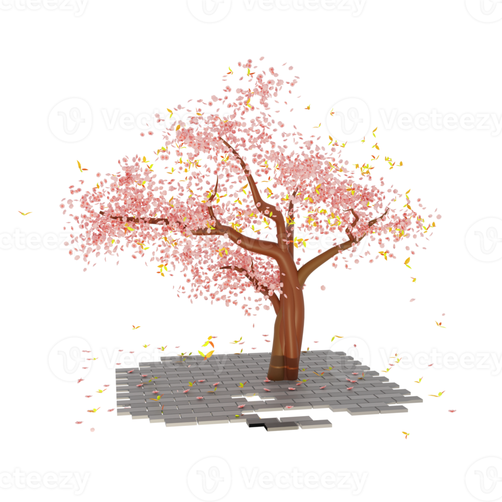 cherry blossom tree transparent png