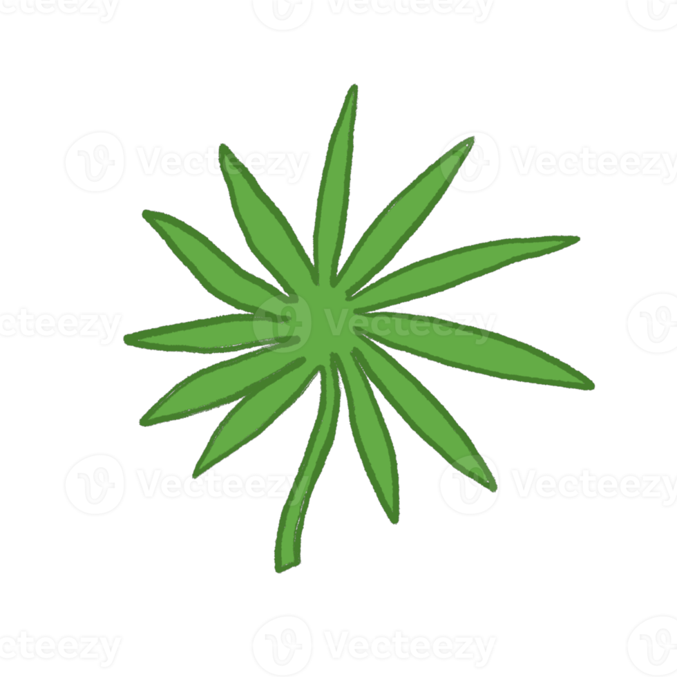 Green Leaf Illustration png