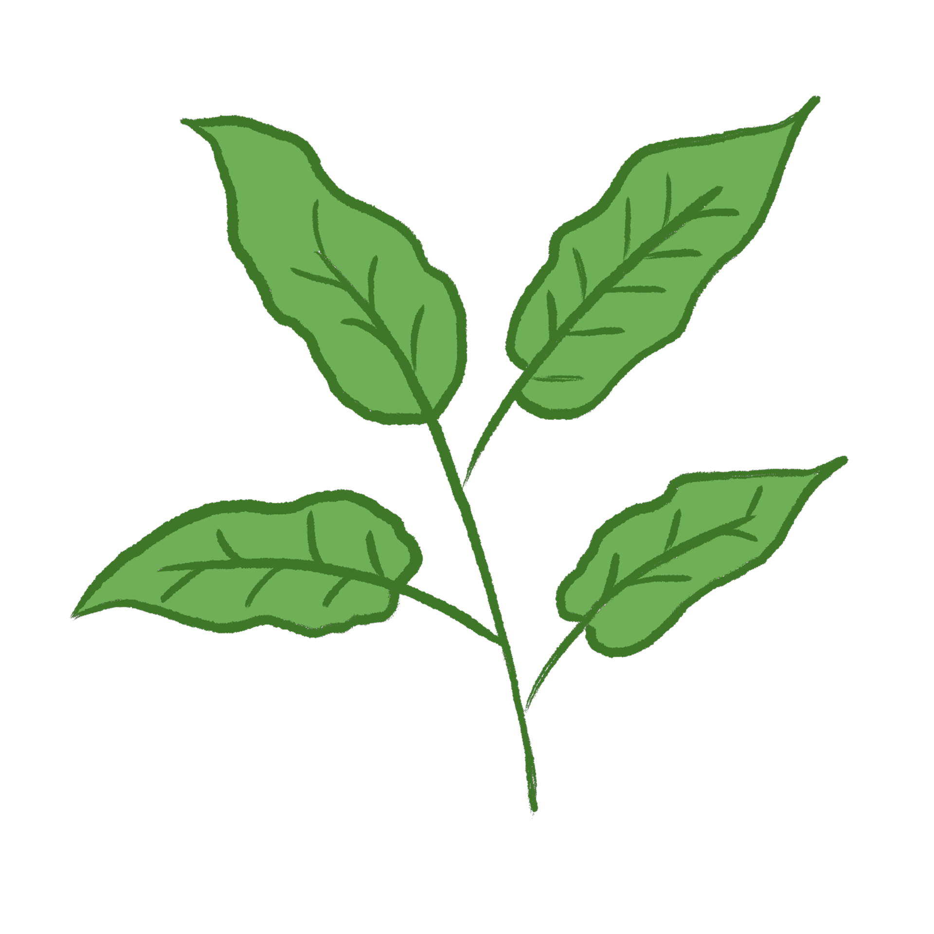 Free Green Leaf Illustration 18921957 PNG with Transparent Background