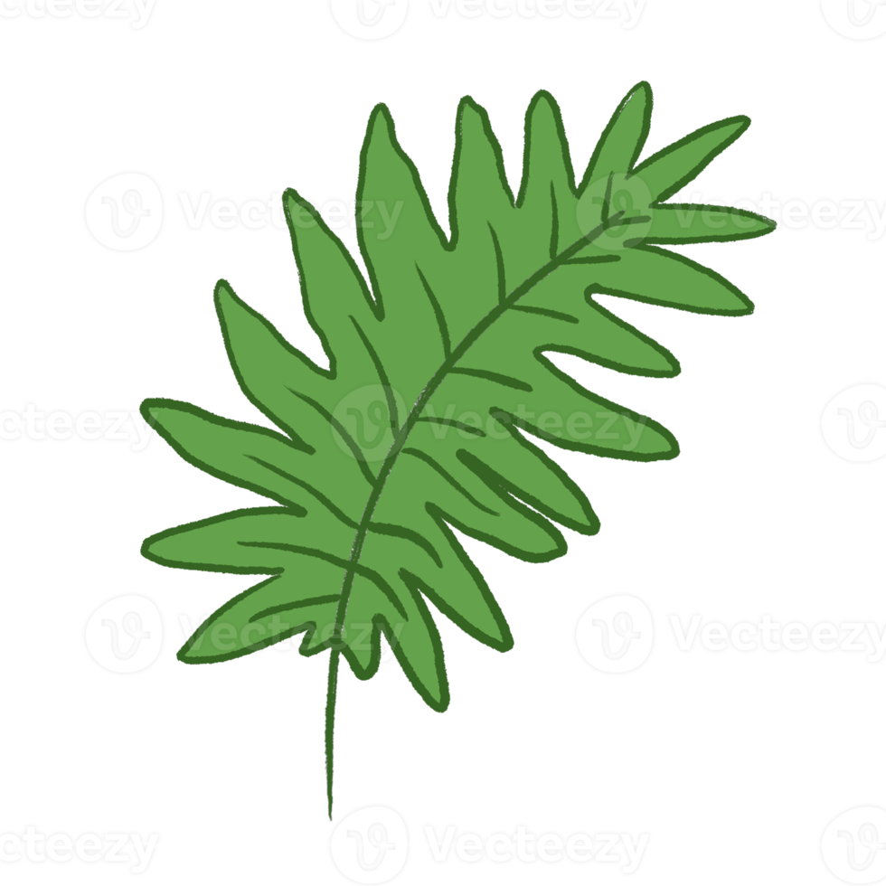 Green Leaf Illustration png