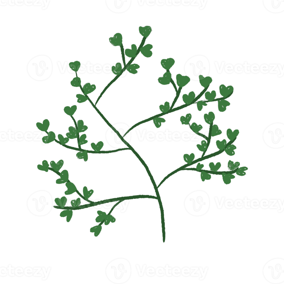 Green Leaf Illustration png