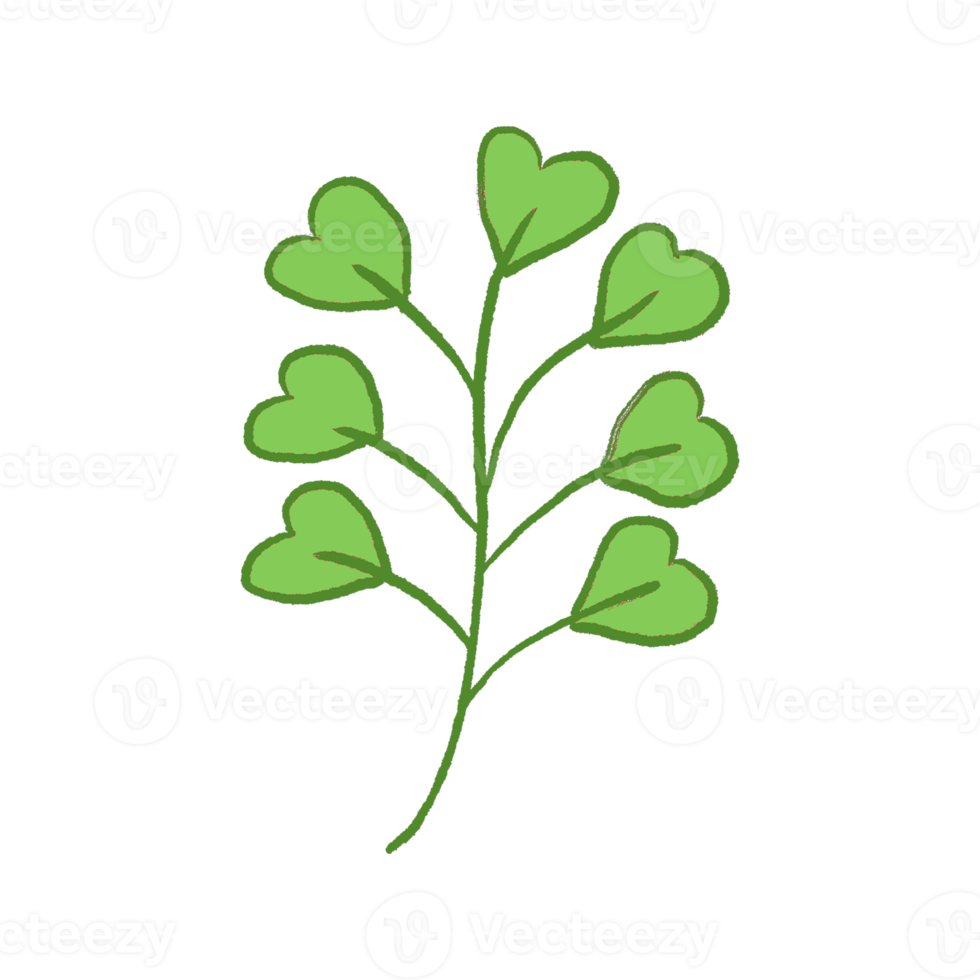 Green Leaf Illustration png