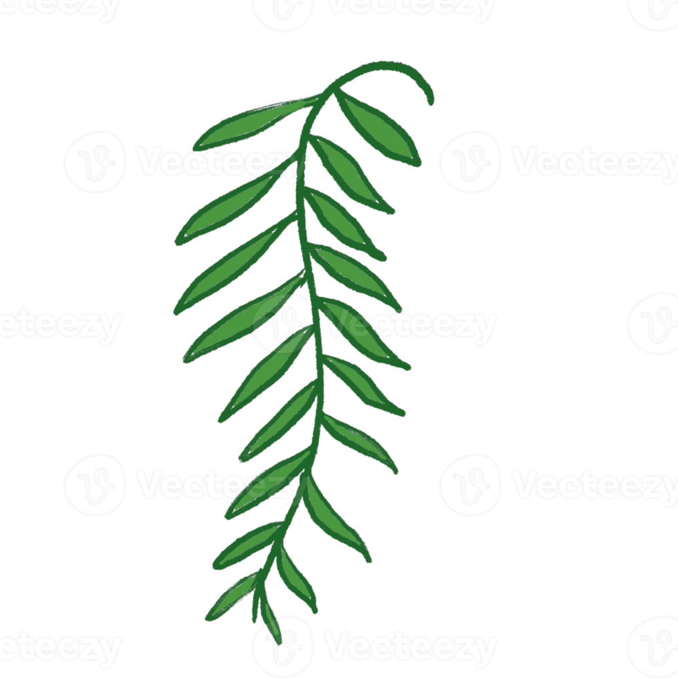 Green Leaf Illustration png