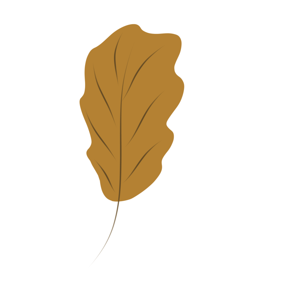illustration de feuilles sèches en automne version trois png