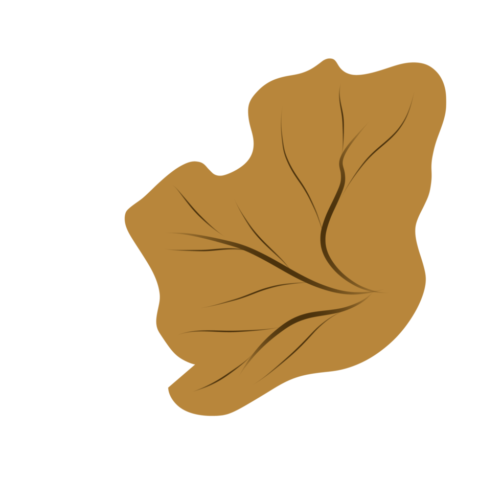 illustration de feuilles sèches en automne png