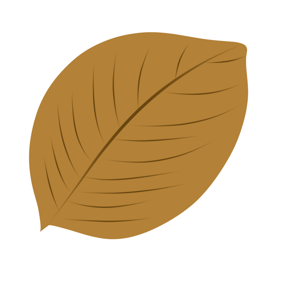 illustration de feuilles sèches en automne version cinq png