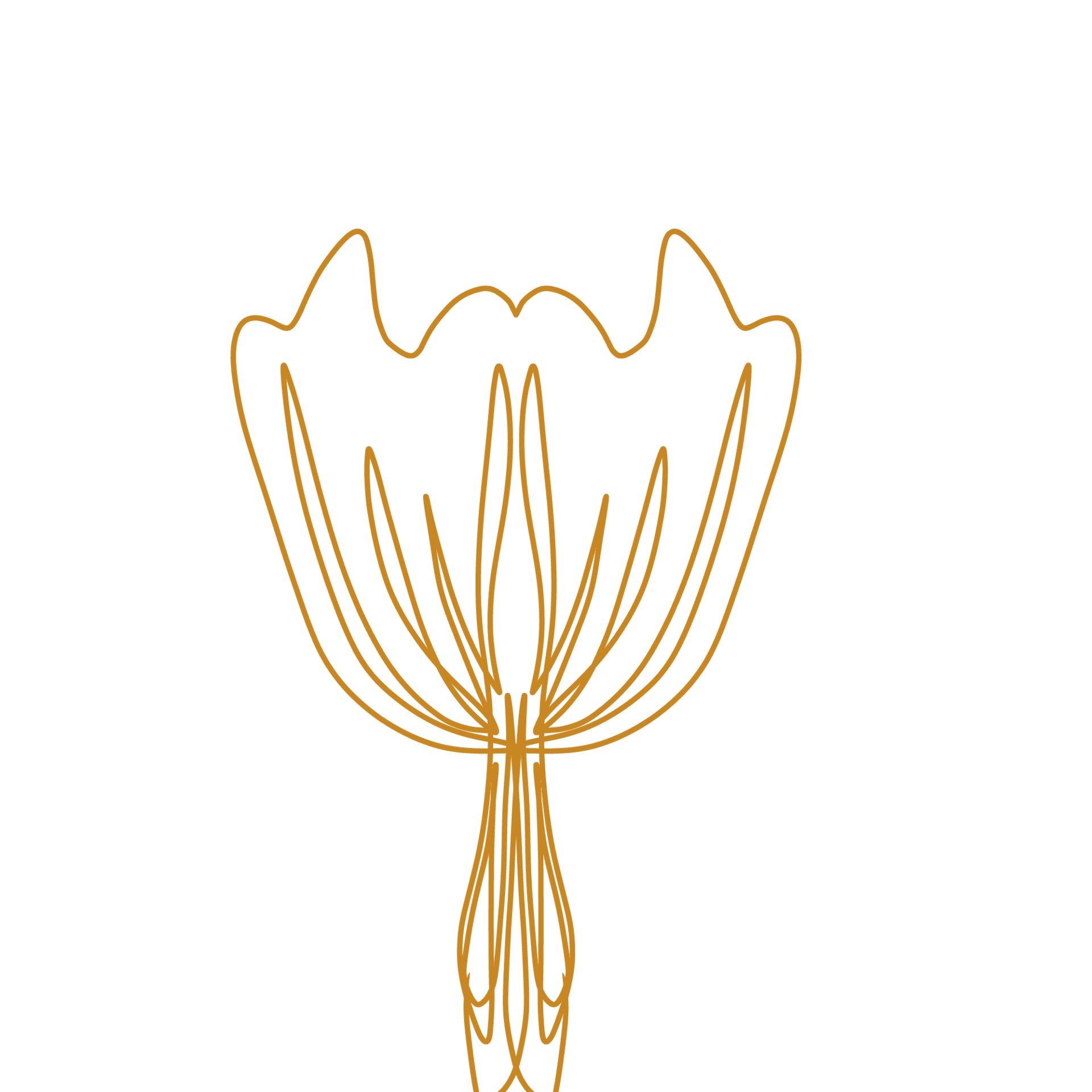 big-flower-doodle-line-art-18922163-png