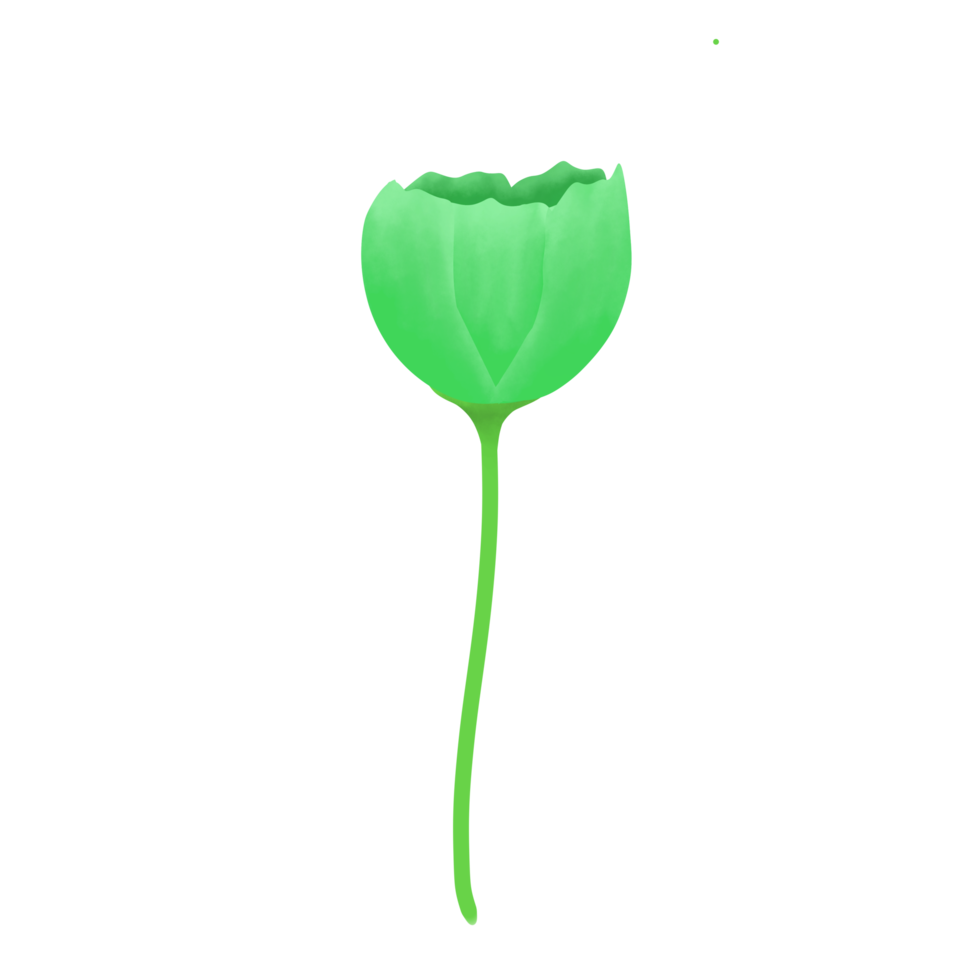 illustration de fleur verte png