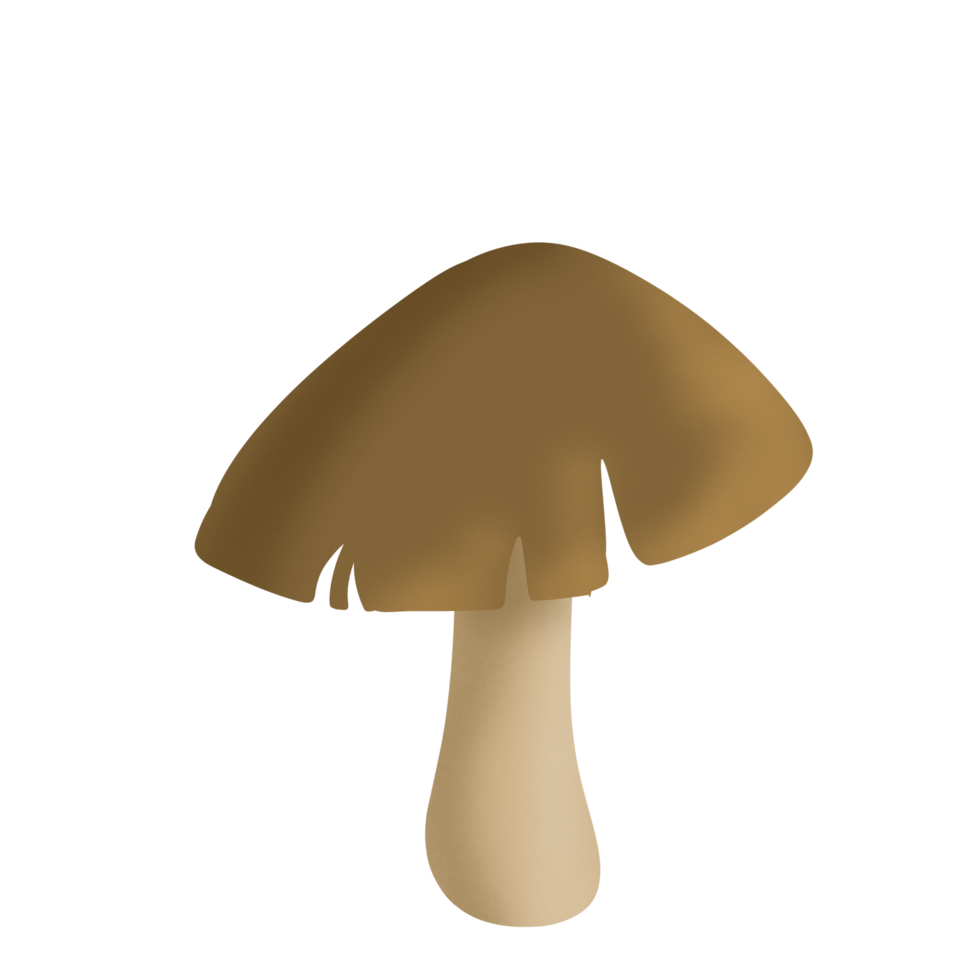 illustration de champignon brun png